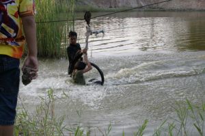 img_1215.jpg.jpg