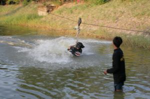 img_1222.jpg.jpg