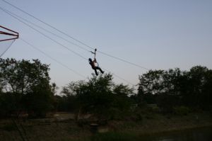 img_1235.jpg.jpg