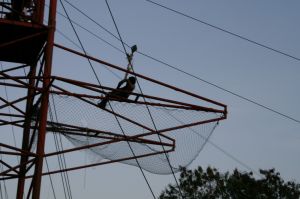 img_1239.jpg.jpg