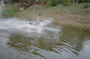 img_1242.jpg.jpg