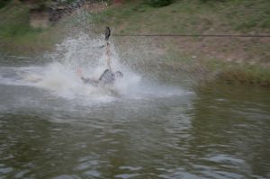 img_1247.jpg.jpg