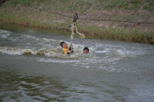 img_1248.jpg.jpg
