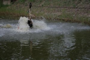 img_1257.jpg.jpg