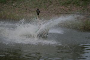 img_1264.jpg.jpg
