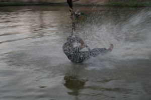 img_1265.jpg.jpg