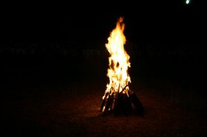 img_1289.jpg.jpg