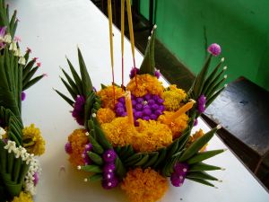 DSCN0081.JPG.JPG