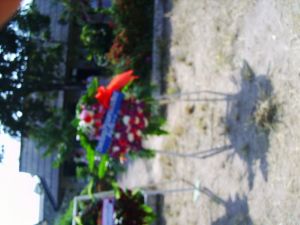 PIC_0053.JPG.JPG