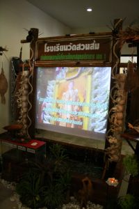 IMG_5209.JPG.JPG