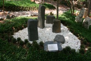 IMG_5376.JPG.JPG