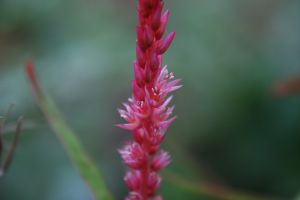 IMG_5789.JPG.JPG