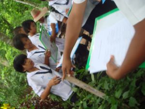 DSC04208.JPG.JPG