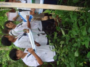 DSC04209.JPG.JPG