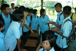 IMG_4434.JPG.JPG