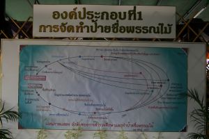 IMG_5737.JPG.JPG