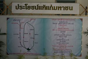 IMG_5743.JPG.JPG