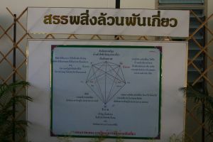 IMG_5745.JPG.JPG
