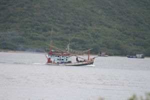 IMG_5772.JPG.JPG