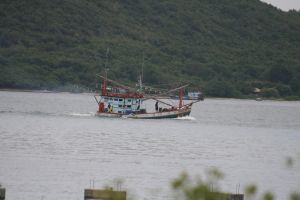 IMG_5773.JPG.JPG