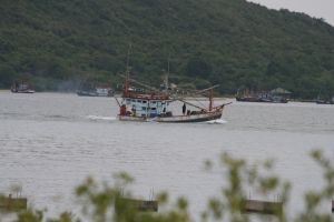 IMG_5774.JPG.JPG
