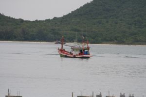 IMG_5775.JPG.JPG