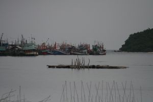 IMG_5776.JPG.JPG