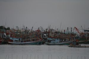 IMG_5777.JPG.JPG