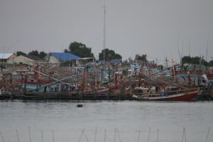 IMG_5778.JPG.JPG
