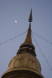 IMG_2977.JPG.JPG