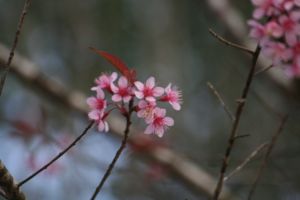 IMG_3005.JPG.JPG