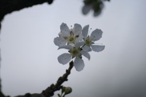 IMG_3012.JPG.JPG