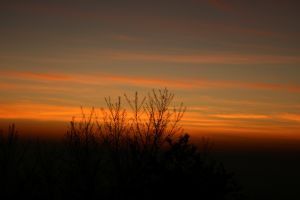 IMG_3033.JPG.JPG