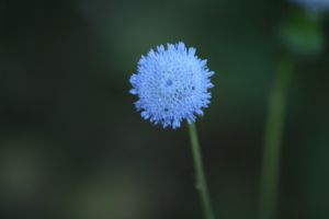 IMG_3067.JPG.JPG
