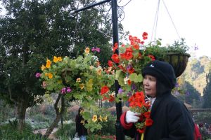 IMG_3116.JPG.JPG