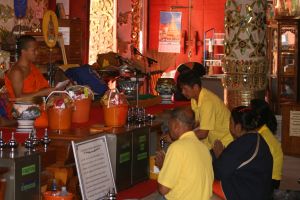 IMG_3174.JPG.JPG