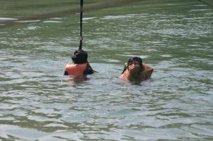 _MG_6257.JPG.JPG