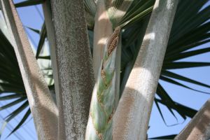 img_4710.jpg.jpg