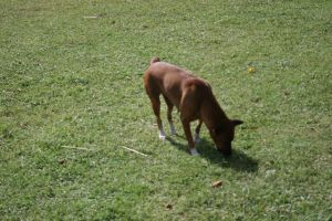 img_4767.jpg.jpg