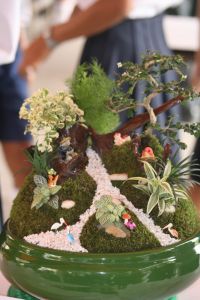 img_3382.jpg.jpg