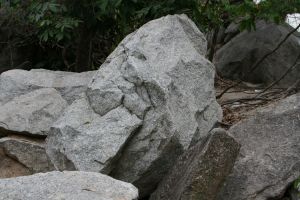img_4012.jpg.jpg