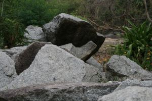 img_4013.jpg.jpg