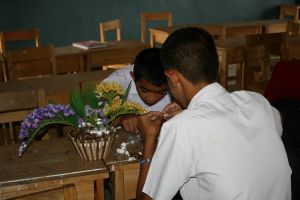 img_4016.jpg.jpg