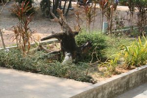 img_4042.jpg.jpg