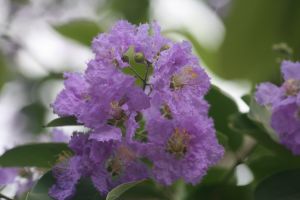 img_4048.jpg.jpg