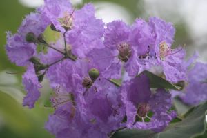 img_4049.jpg.jpg