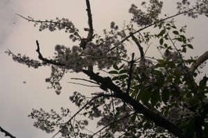 img_4058.jpg.jpg