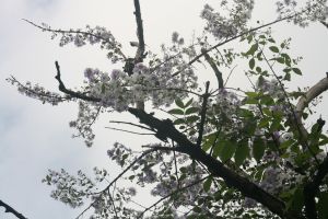 img_4059.jpg.jpg