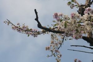 img_4063.jpg.jpg