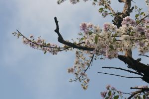 img_4064.jpg.jpg